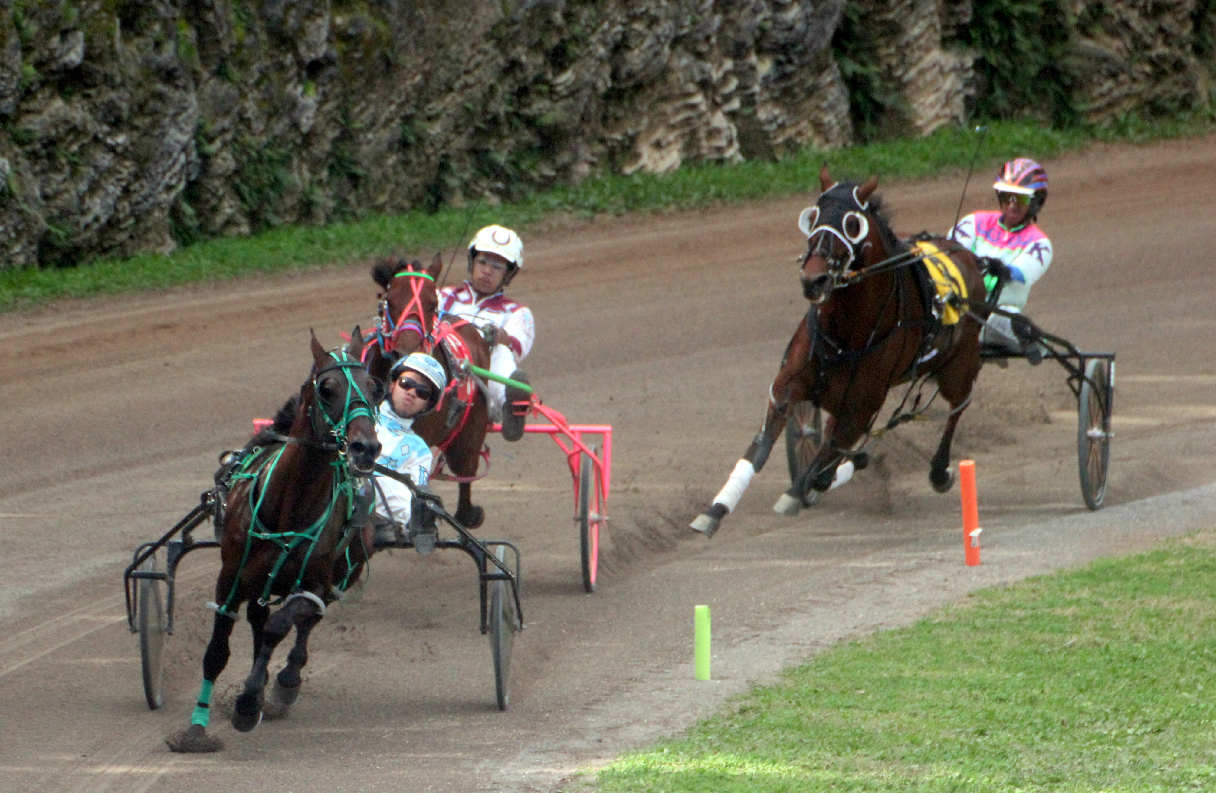 Harness Pony Racing Round-Up (Equestrian Events)